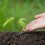 close-up-picture-hand-holding-planting-sapling-plant_1150-28372